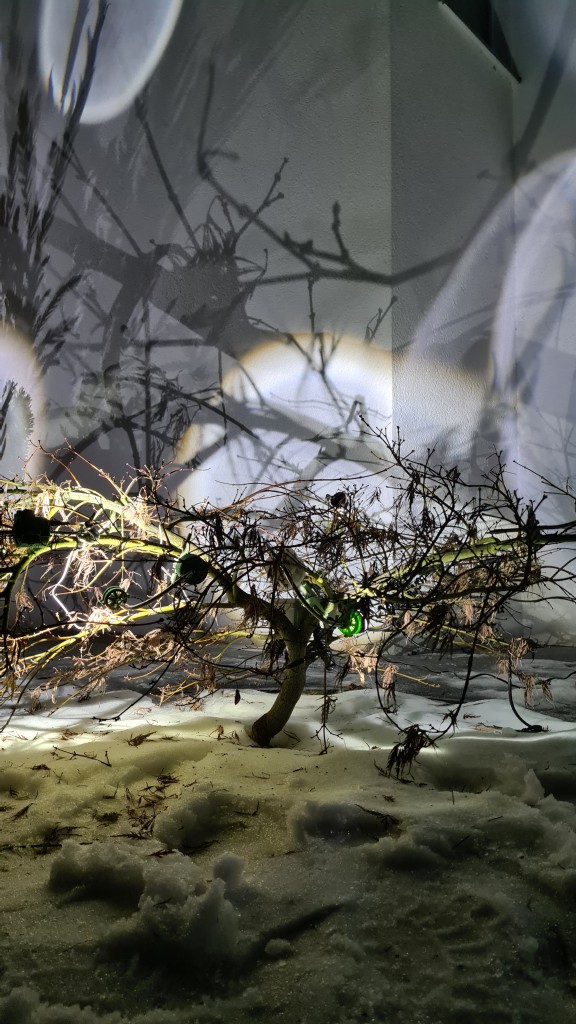 IMG_20260207_221807_085