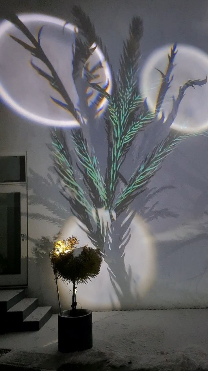 RaumZeitPiraten-ParaSights-001